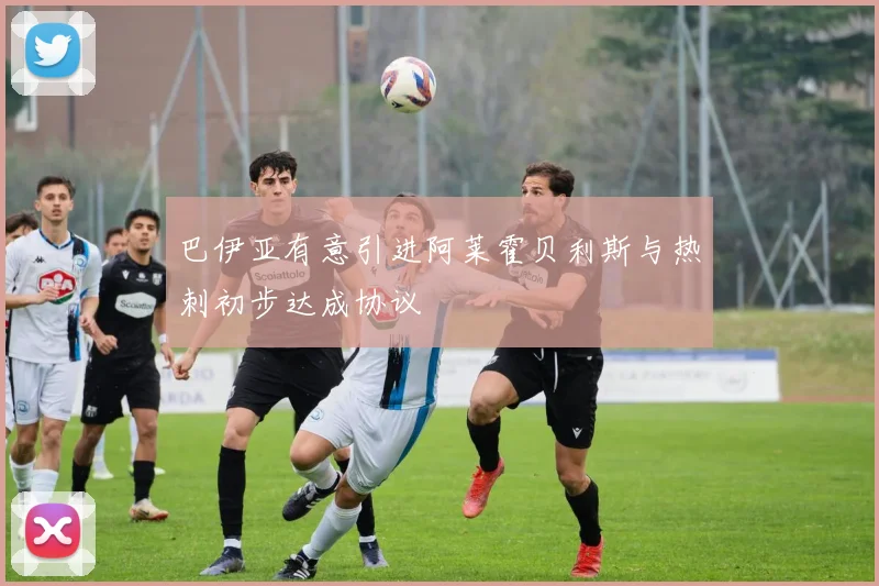 巴伊亚有意引进阿莱霍贝利斯与热刺初步达成协议