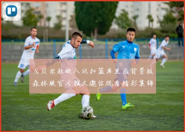 戈贝尔狂砍八记扣篮库里成背景板森林狼官方推文邀你观看精彩集锦